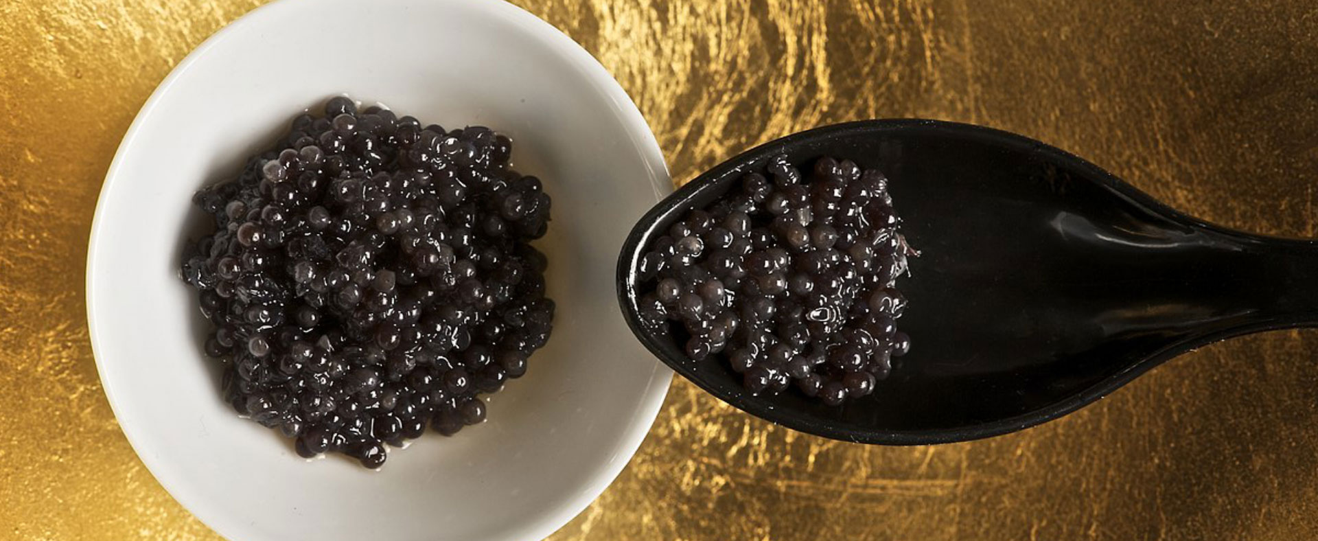 Beluga Caviar Banner